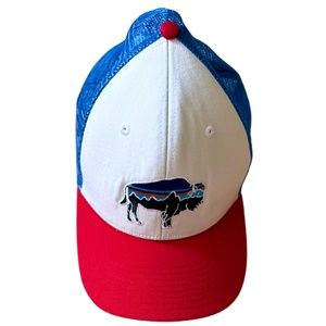 Patagonia Fitz Roy Bison Trucker Hat - Red, White & Blue
